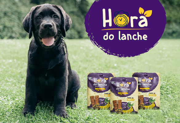 Cão com Petiscos Brincalhão de Açaí